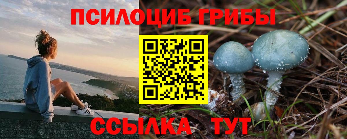 Димитровград  Псилоцибиновые грибы мухоморы  Вход с VPN 
