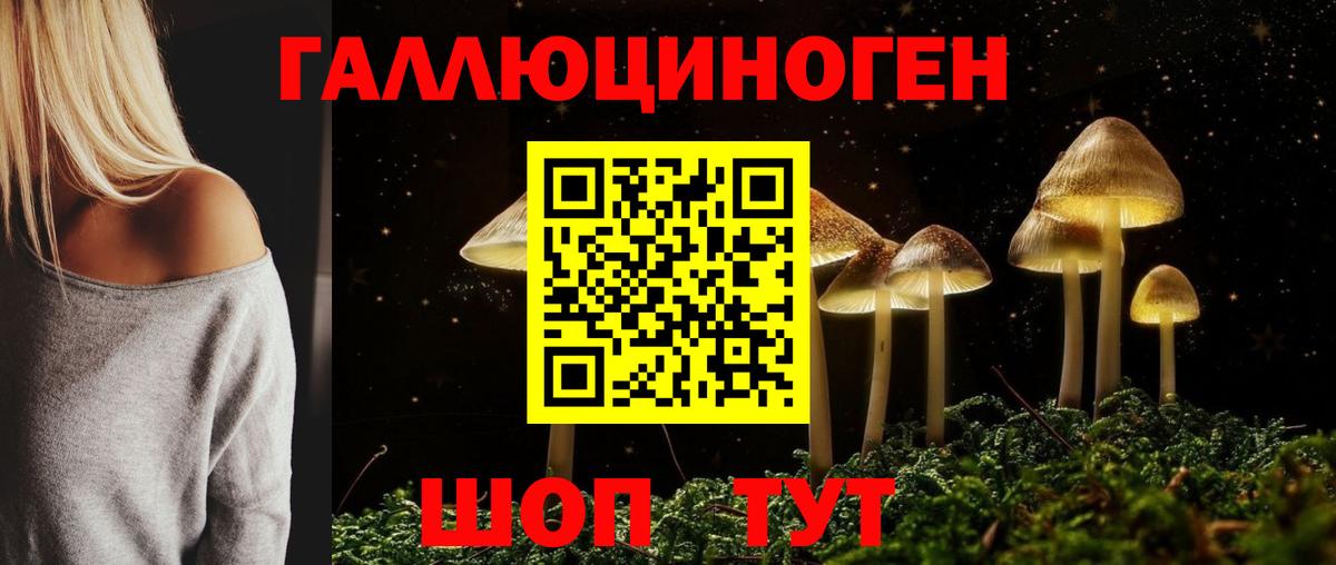 Псилоцибиновые грибы MAGIC MUSHROOMS Димитровград